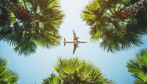 Airplane flying over palm trees